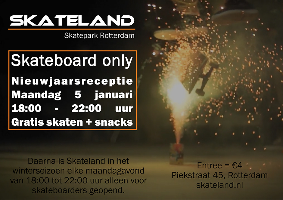 skateland-skateboard-only-poster
